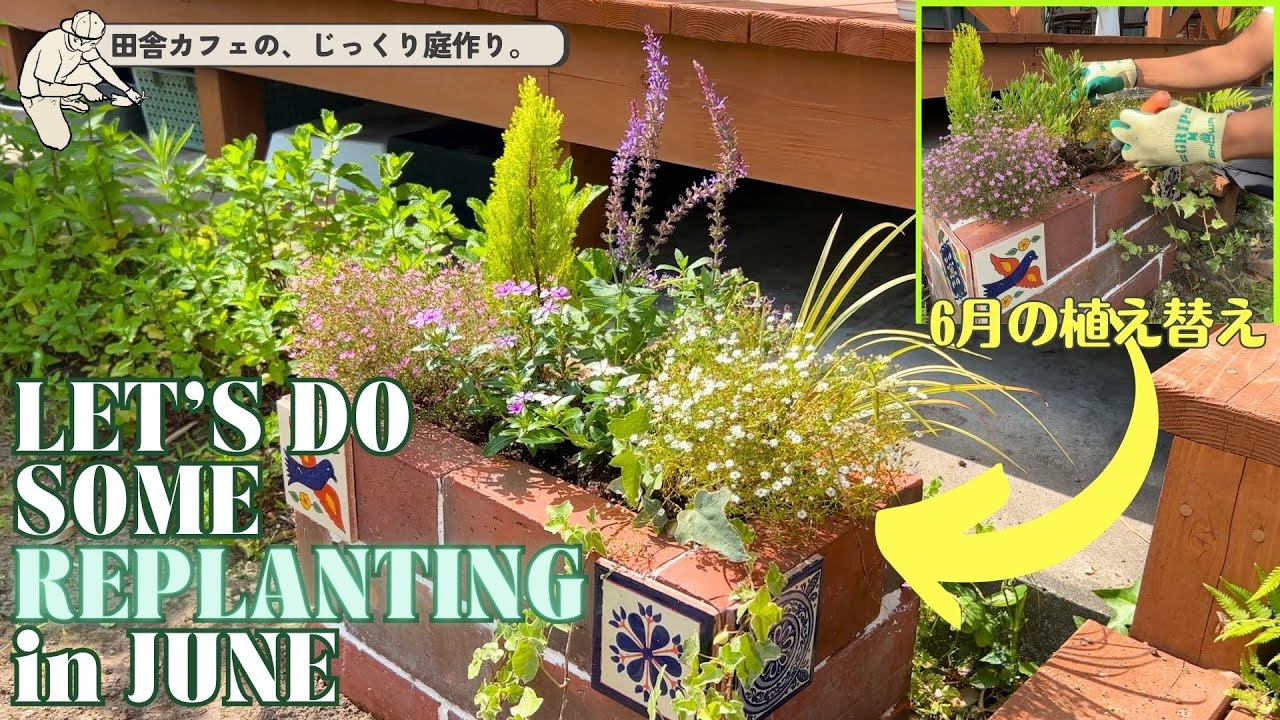 【植え替え】梅雨前の部分植え替え。最後にカフェの花々も一気に紹介