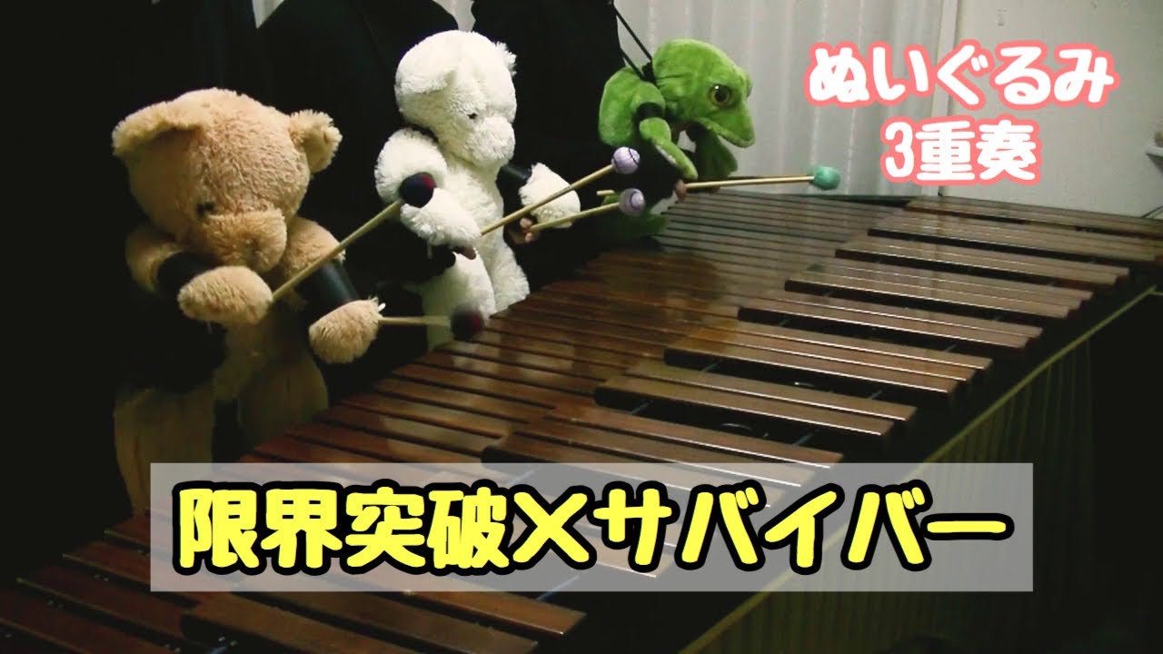 マリンバ3重奏「ぬいぐるみたちの限界突破×サバイバー」