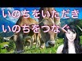 家畜の一生　肉食と健康　贅沢と幸福