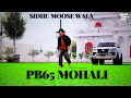 Pb 65 mohali da  sidhu moose wala new song  new punjabi song  gta 5