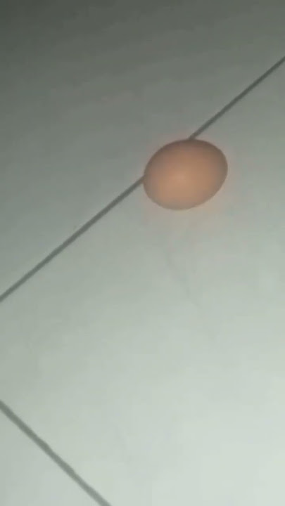 Gudag Gideug