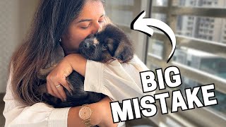 WORST Mistakes I Made Raising my First Dog