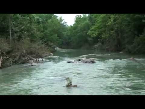 Albert Pike Flood Tommy Peggy S Cabin 14 Of 14 Youtube