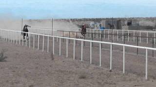 Milly vs La Alazana