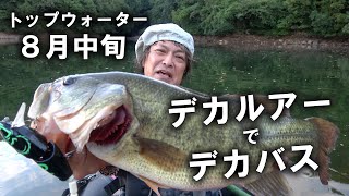 デカルアーでデカバス！トップウォーター！ - YouTube