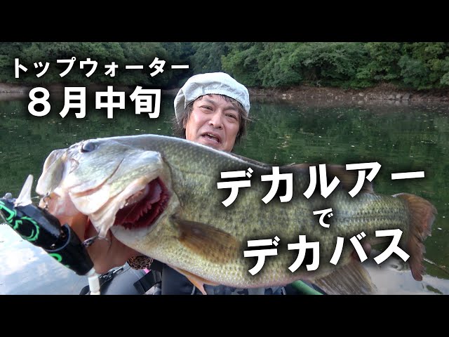 トップウォータープラグ 黒鱒ドデカバス ブラックバス置物、ブラックバスオブジェ デカルアーでデカバス！トップウォーター！ - YouTube