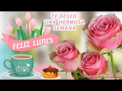 FELIZ SEMANA 🌹FELIZ LUNES 🌹TE DESEO UNA HERMOSA SEMANA 🌹 - YouTube
