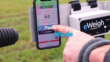 iLivestock & Rappa - Keep it simple