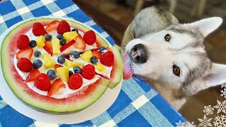 Watermelon Pizza For Dogs 🍉 DIY Dog Treats