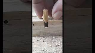 Como fazer cavilha de madeira dicas de marcenaria diy #shorts #woodworking