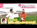 【いまダケッ】いまが旬！“スタミナ野菜”  肉厚シャキッ「えびなのにら」これからの季節にぴったり