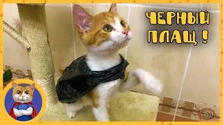 Я ужас, летящий на крыльях ночи со шкафа Я ужас, летящий на крыльях ночи со шкафа