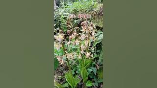 8982a1ff4a73b9fd950e24748c4fb079