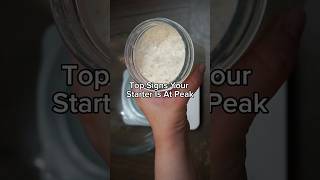 Top signs your starter is at peak #sourdough #sourdoughbread #sourdoughstarter Wealth