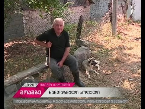 მიგრაციის პრობლემა სოფელ ოფრეთში