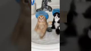 VIDEO IS NOT MINE #boton #roblox #