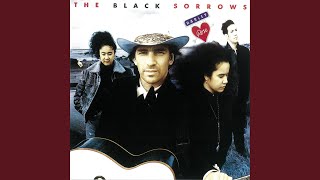 Video thumbnail of "The Black Sorrows - Baby It's A Crime"