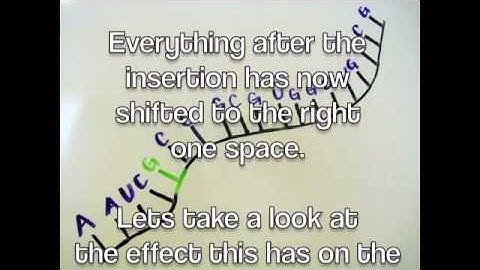 Frameshift Genetic Mutations