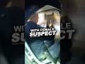 Officer Caught in Backseat With Female Suspect