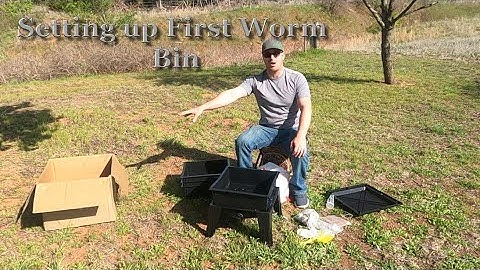 How To Setup a Worm Factory 360