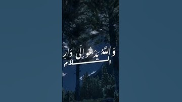 والله يدعو الى دار السلام _ القارئ #عبدالرحمن_مسعد #قرآن #أحمد_خضر #اسلام_صبحي #ماهر_المعيقلي