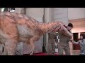 Download lagu DINO A LIVE 15 MP3 Lagu DINO A LIVE 15 Mp3