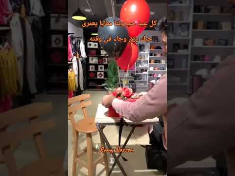 تامر عاشور حبك رزق جه عيد الحب