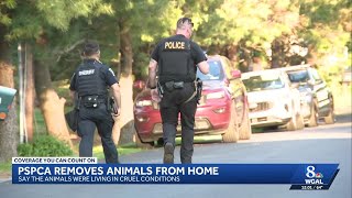 93 animals rescued from Lancaster County home in cruelty investigation
