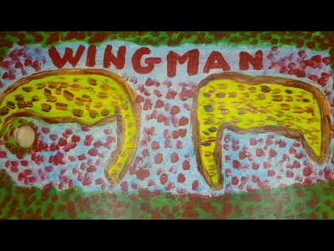 Video: Ny undersøkelse avslører din ultimate Wingman er på slutten av ditt løp
