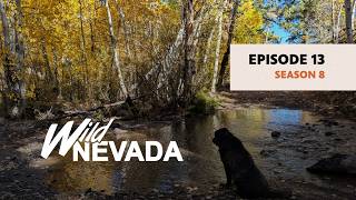 Wild Nevada | Episode 813: Fall Colors