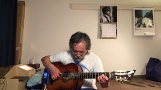 The Dangling Conversation (Fingerstyle guitar)