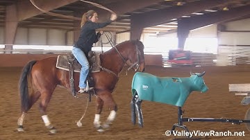LB Smart Chic - roping #1 - ValleyViewRanch.net