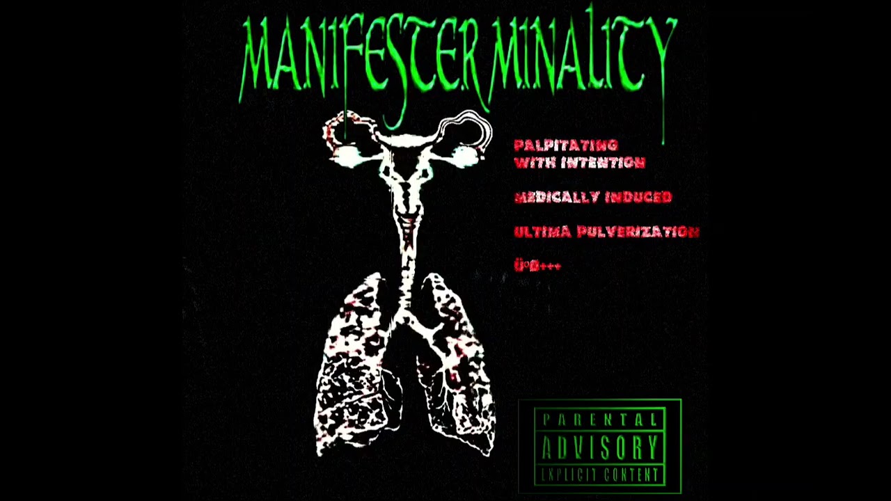 MANIFESTERMINALITY - Self Titled (2025) Lo-fi Noiseviolence