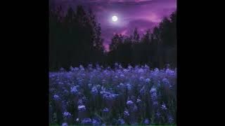 the smiths - please, please, please, let me get what I want (slowed   reverb)