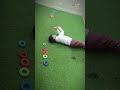 Primitive Reflex Integration | Proprioception & Vestibular Input | Symmetrical Movement Coordination