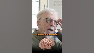 Quantum Physics INSIDE the Brain 🧠