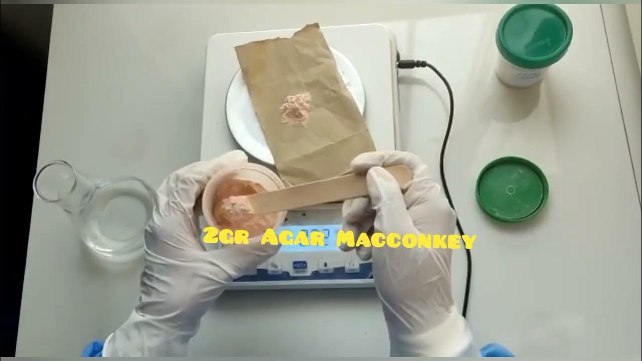 Preparación medio de cultivo Agar Sangre y Agar Macconkey YouTube Preparación medio de cultivo Agar Sangre y Agar Macconkey YouTube
