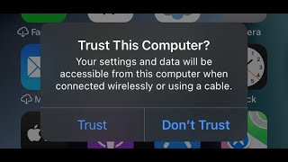 Trust This Computer  Your Settings And Data Will Be Accessible From This Computer When Connected
