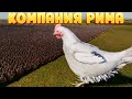 КОМПАНИЯ РИМА ( Ultimate Epic Battle Simulator 2 )