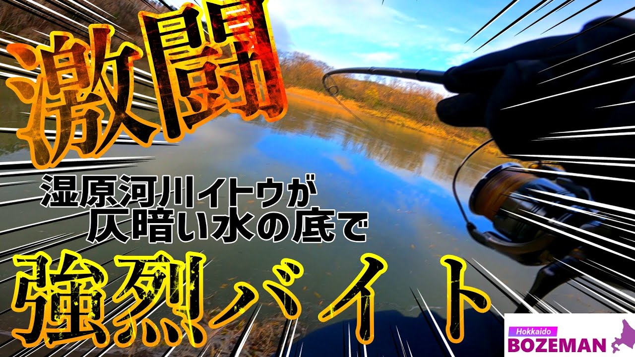 【北海道 イトウ】湿原河川で炸裂した強烈バイト──激闘の末、訪れた予想外の結末【北海道 釣り】【イトウ 釣り】