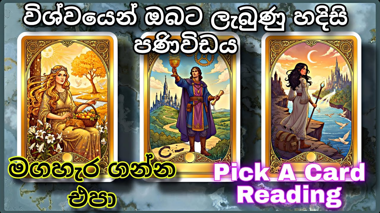 විශ්වයෙන් ඔබට ලැබුණු හදිසි පණිවිඩය 🌌 | Pick A Card Reading Sinhala 2026 