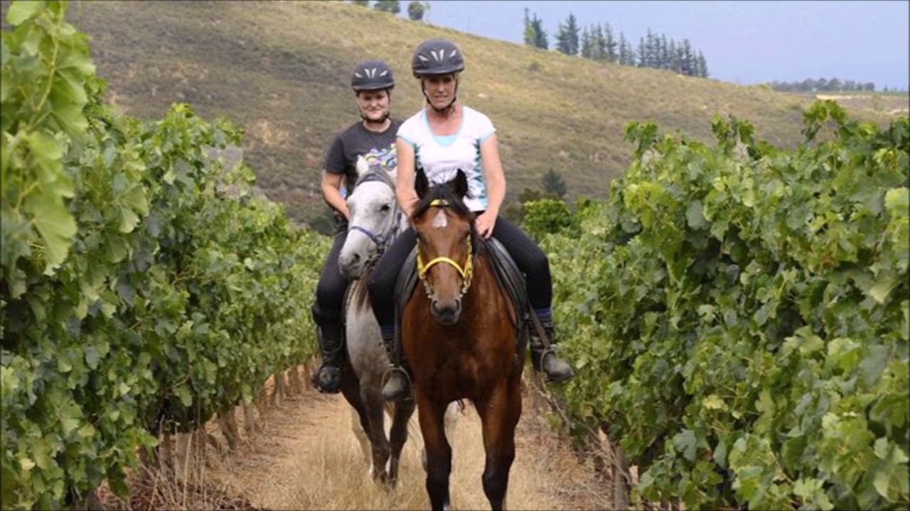 🍷Escape to Cape Winelands: Wine, Romance & Adventure in Stellenbosch & Franschhoek! 🚵‍♀️🍇