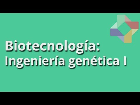 Video: ¿Cuál es la relación entre biotecnología e ingeniería genética?