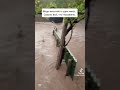 Вода высотой в один метр. Смыло всё, что посажено.