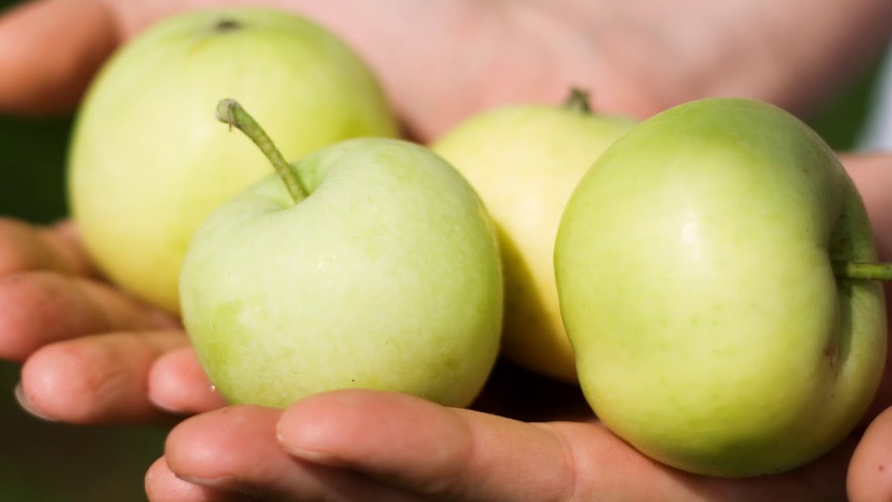 El Corazón del Mundo