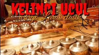 wargo Laras//kelinci Ucul//@ardantmg //explorebudayajawa// wonderful Indonesia