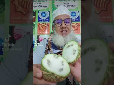 فوائد الحنظل
