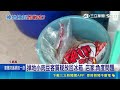 小肉豆掉滿地客驚見「撿回袋」！早餐店澄清：已丟棄｜記者 古芙仙 廖國雄｜三立新聞LIVE