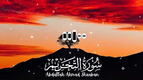 سورة التحريم بصوت القارئ عبدالله احمد شعبان
