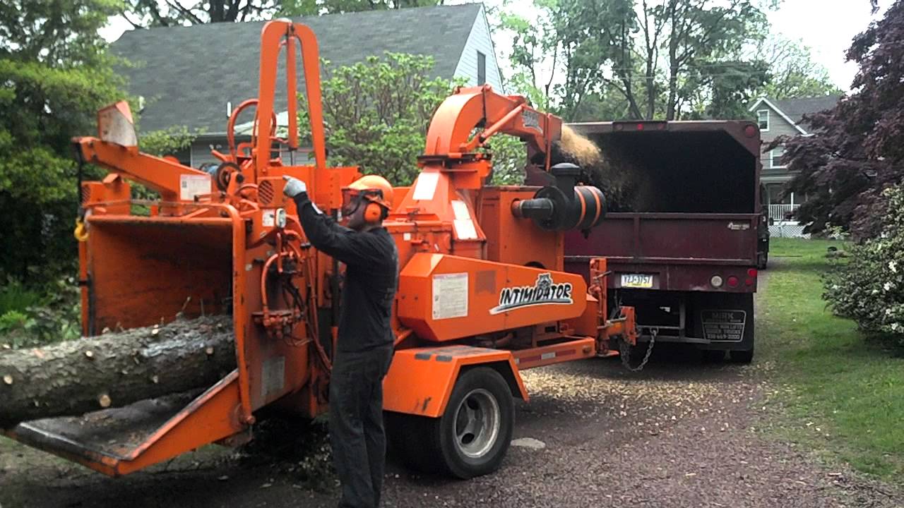 Brush bandit 1890 eats 20"+ spruce @ Stocker tree - YouTube